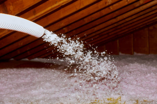 Best Residential Insulation in West Ishpeng, MI
